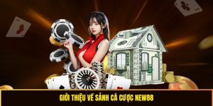 Giới thiệu về nhà cái 8day